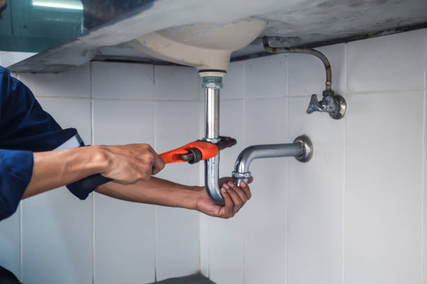 Best Plumbing Services Near Me  in Woodson Terrace, MO